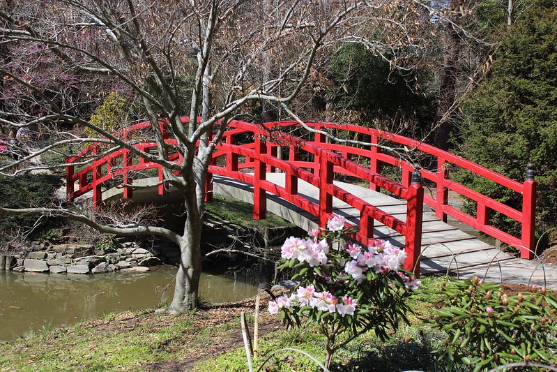 puente jardín japonés